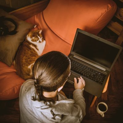 the student is sitting on the floor and working on a laptop, on the floor there is a cup of coffee on the right, and a red-and-white cat is lying next to the left on an orange puff